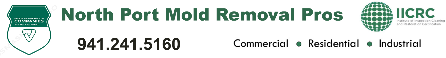 North Port Mold Removal Pros